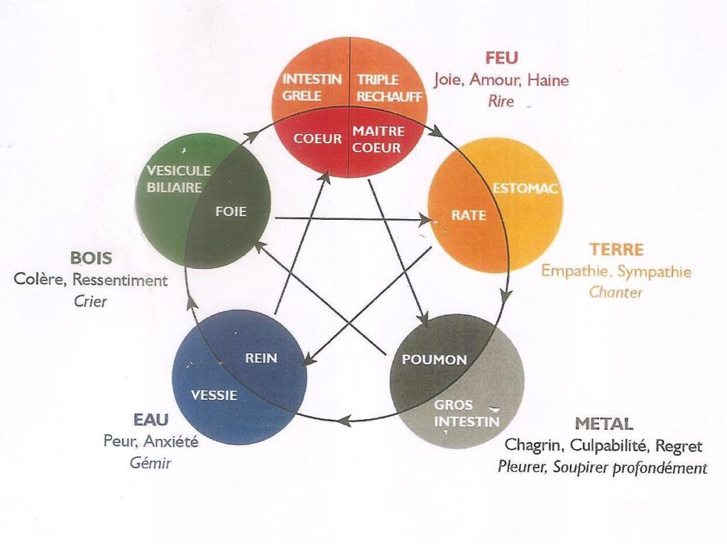 CYCLE DES 8 ELEMENTS CHINOIS