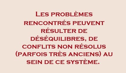 déséquilibres, conflits non résolus parfois très anciens