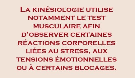 la kinésiologie et le test musculaire