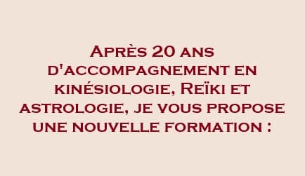 Formation Constellations Familiales, Lignée Hellinger à Tournon-sur-Rhône